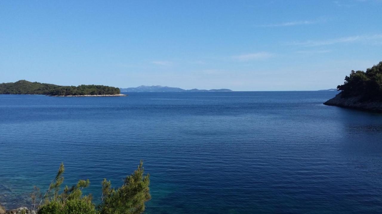 Apartments By The Sea Cove Zaglav, Korcula - 12208 Prižba Extérieur photo